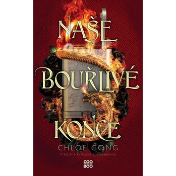 Kniha Naše bouřlivé konce Ekniha