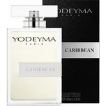 Yodeyma Caribbean 100 ml pánská parfémovaná voda