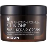 MIZON All In One Snail Repair Cream 120 ml