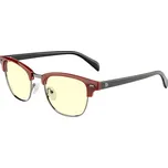 GUNNAR Diablo IV Sanctuary Edition