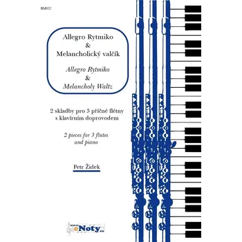 Židek, Petr: Allegro Rytmiko & Melancholický valčík / 2 skladby pro 3 příčné flétny a klavír Kniha
