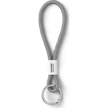 PANTONE Poutko na klíče S - Cool Gray 9