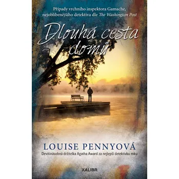 Dlouhá cesta domů Ekniha