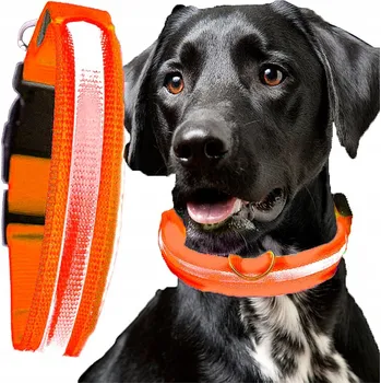 Obojek pro psa NÁDHERNÝ LED OBOJEK PRO PSA KOČKU HRUBĚ TKANÁ , BAREVNÝ, 3 FÁZE OSVĚTLENÍ Vel : L