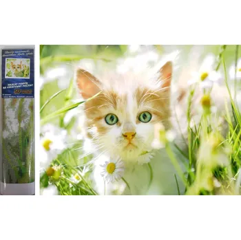 Diamantové malování Norimpex Kotě mezi sedmikráskami 30 × 40 cm