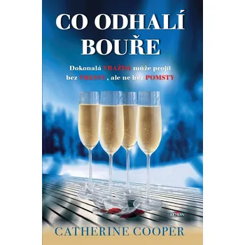 Kniha Co odhalí bouře Ekniha