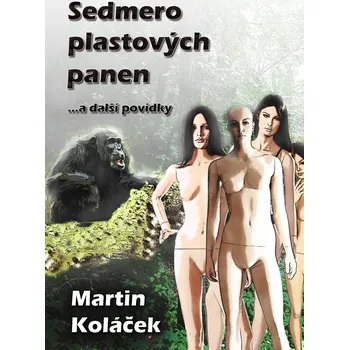 Kniha Sedmero plastových panen Ekniha