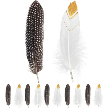 Widmann Indiánské peří 12 ks