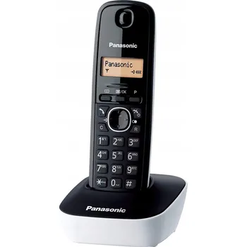 Stolní telefon Bezdrátový telefon Panasonic KX-TG1611JTW