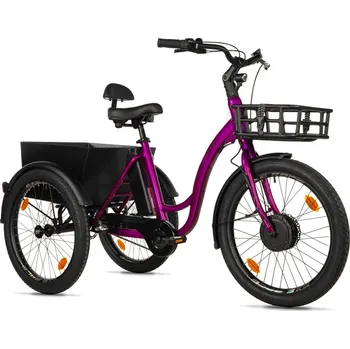 Elektrokolo LEADER FOX 2025 Leader Fox CARGO - TŘÍKOLKA LOVELO 2025 Barva: violet