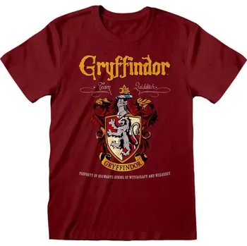 Pánské tričko Harry Potter - Gryffindor - tričko XXL