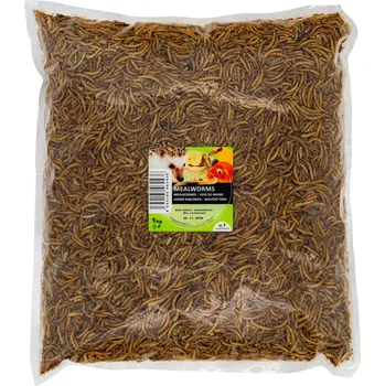 UGF Sušený moučný červ 1 kg