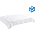 Brotex Francouzská přikrývka AntiStress zimní 240 × 200 cm 2160 g