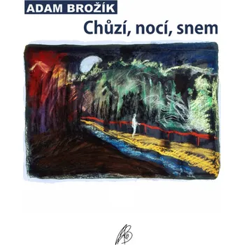 Kniha Chůzí, nocí, snem Ekniha