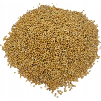 Pro ptáka Proso zrno 1 kg Žluté proso krmivo pro ptáky, papoušky, holuby a slepice