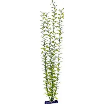 Dekorace do akvária Penn Pla Blooming Ludwigia Green Giant 56 cm