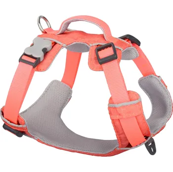 Red Dingo postroj Sport Hi-Vis Peach 12 mm × 31-43 cm