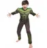 Karnevalový kostým FunCo Dětský kostým svalnatý Hulk s maskou