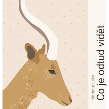 Co je odtud vidět Audiokniha