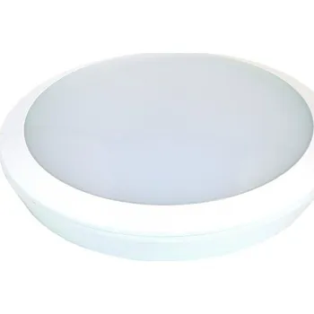 Žárovka LED stropní svítidlo 25W antivandal