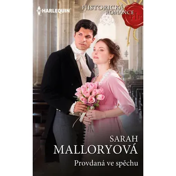 Kniha Provdaná ve spěchu Ekniha