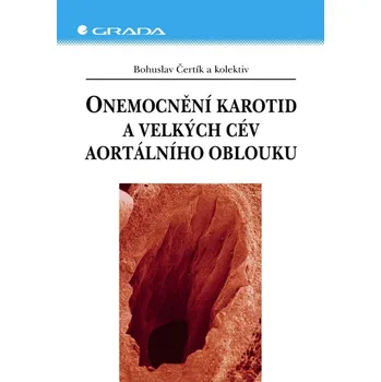 Onemocnění karotid a velkých cév aortálního oblouku Ekniha