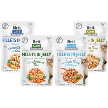 Krmivo pro kočku Brit Care Cat Fillets in Jelly Ochutnávkový mix 4 x 85 g
