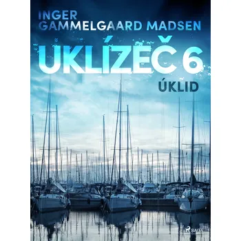 Kniha Uklízeč 6: Úklid Ekniha