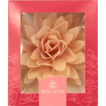 Astra z jedlého papíru – světle lososová (1 ks, Ø 12,5 cm)