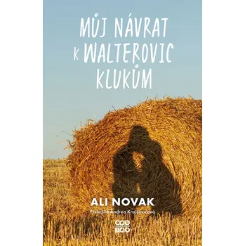 Můj návrat k Walterovic klukům Ekniha