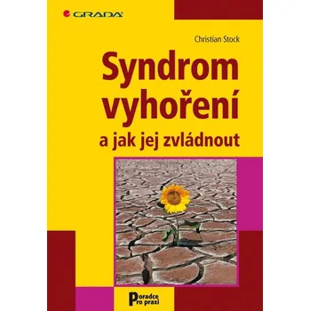 Kniha Syndrom vyhoření a jak jej zvládnout Ekniha