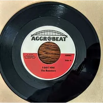 Zahraniční hudba SP The Roosterz: I Got You 2024