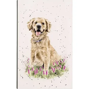 Zápisník Wrendale Designs Trhací poznámkový blok A5 Zlatý retrívr