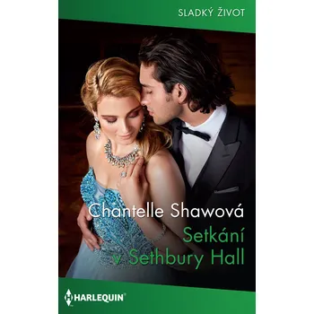 Kniha Setkání v Sethbury Hall Ekniha