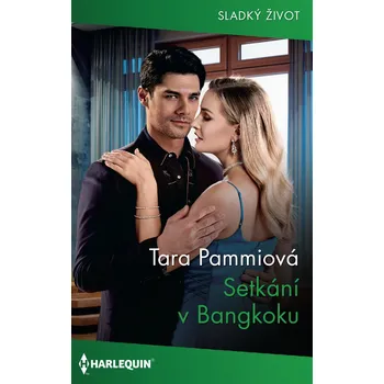 Kniha Setkání v Bangkoku Ekniha