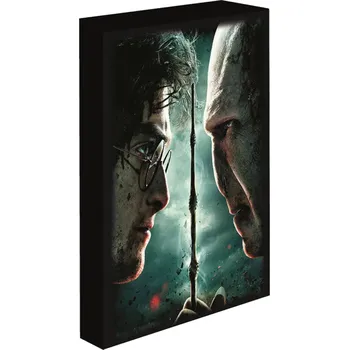 Bytová dekorace Harry Potter - Harry vs. Voldemort, 30 × 40 cm - LED svítící obraz