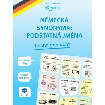 Kniha Německá synonyma: podstatná jména Ekniha