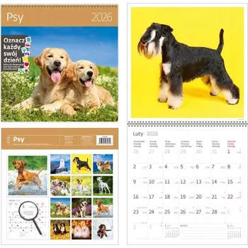 Kalendář Rodinný Kalendář 2026 na zeď 30x30 Psi HELMA