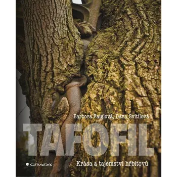 Historie automobilů Škoda Ekniha