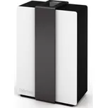 Stadler Form Robert Black