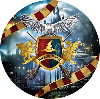 Talíř GUIRCA Papírové talíře čaroděj 23 cm - kouzelník Harry - 6 ks