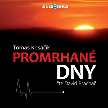 Promrhané dny Audiokniha