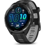 Garmin Forerunner 965 Black/Powder Gray