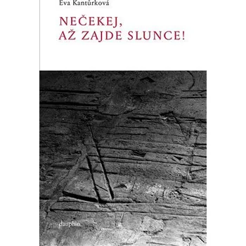 Kniha Nečekej, až zajde slunce! Ekniha