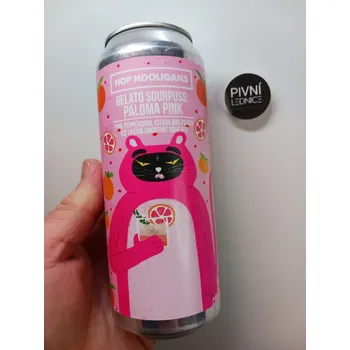 Pivo Hop Hooligans Gelato Sourpuss: Paloma Pink 6% 0,5l