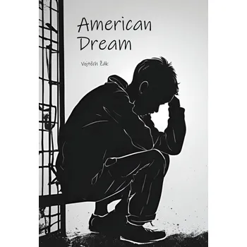 Kniha American dream Ekniha