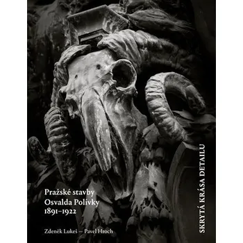 Kniha Skrytá krása detailu Ekniha