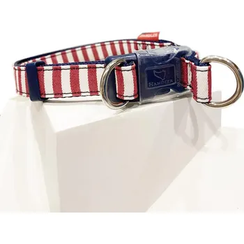 Obojek pro psa Japan Premium "Anglický styl" se silikonovou ochranou a dvojitým zapínáním, červený, velikost M