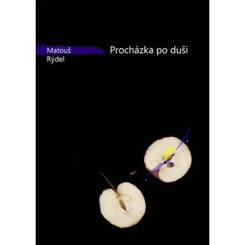Kniha Procházka po duši Ekniha