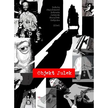 Kniha Objekt Julek Ekniha
